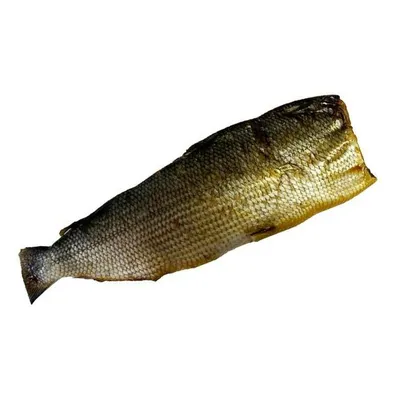Рыба чир фото фото