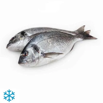 Дорадо рыба по 400-600 гр оптом | цена, доставка