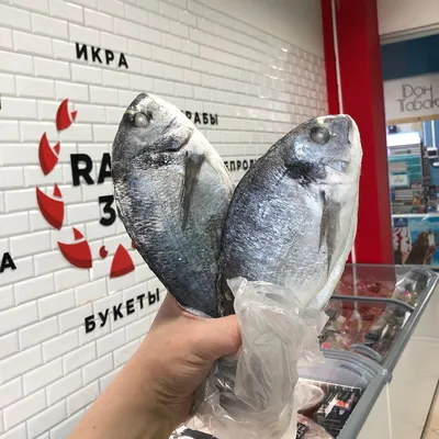 Дорадо рыба купить в интернет магазине с доставкой на дом