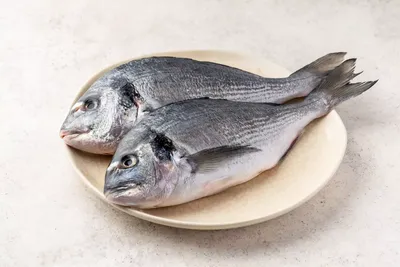 Рыба дорадо в духовке - пошаговый рецепт с фото на Готовим дома