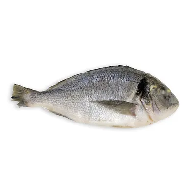 Купить Рыба Дорадо (непотрошеная) (развес) кг в Самарканде, морепродукты и  икра с доставкой на дом | Orzon.uz