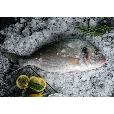 Рыба дорада на углях на мангале рецепт с фото пошагово - 1000.menu