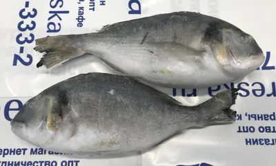 Рыба Дорадо охлажденная 200-300 ❤️ доставка на дом от магазина Zakaz.ua