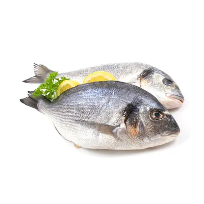 Рыба Дорадо Охлаждённая 300/400 , 400/600грамм (ID#1169742551), цена: 230  ₴, купить на Prom.ua