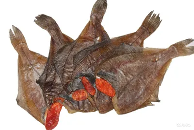 Велесовик - Ерш - рыба хорошо известная всем рыбакам,... | Facebook