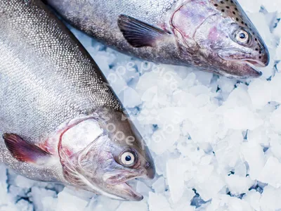 Рыба ЗАО Русское Море Форель слабосоленая филе кусок - «Нежное и вкусное  слабосоленое филе форели без лишних добавок. » | отзывы