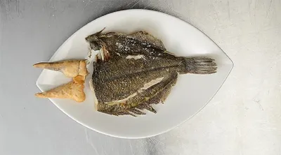 Рыбы Похожие На Камбалу Название И Фото – Telegraph