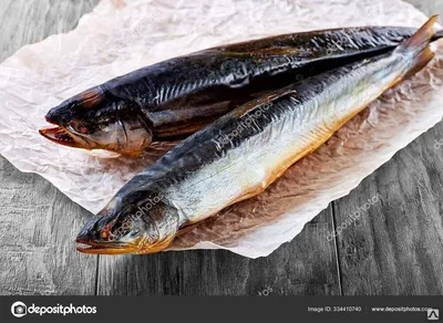 Боганидский голец: почему это самая полезная рыба