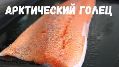 Малосольный ГОЛЕЦ. Рецепт вкусного посола красной рыбки. | Ох и вкусно |  Дзен