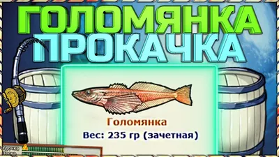 Байкальская рыба - описание, виды, рецепты