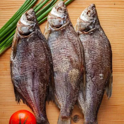 Рыба густера: особенности вида, ее повадки и способы ловли