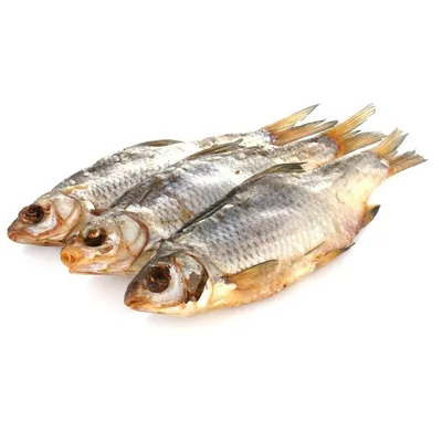 Донская рыба: Густера, ласкирь