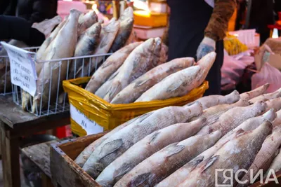 Рыба Якутии — 2023»: Как вам цены? | 29.10.2023 | Якутск - БезФормата