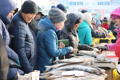 Какой только рыбы нет на выставке-ярмарке в Якутске!