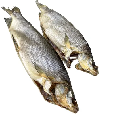 Компании инЯкутия: Рыбный рынок. Туры по Якутии