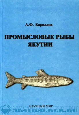 Рыбалка на Тайменя | Якутия | Все об отдыхе, рыбалке и охоте | Блог