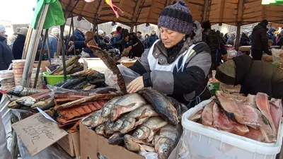 Свеже-мороженая Рыба Якутии (Чир, Муксун, Омуль) Розница в Москве