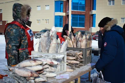 Фоторепортаж: выставка-ярмарка «Рыба Якутии — 2022»