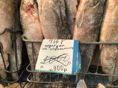 Почем рыба в Якутске? Чир за 800 рублей, семга 2850 рублей за кг