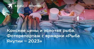 Выставка \"Рыба Якутии - 2020\" - Блог Николая Барамыгина