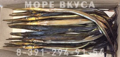 Calaméo - Черноморская пухлощекая игла-рыба