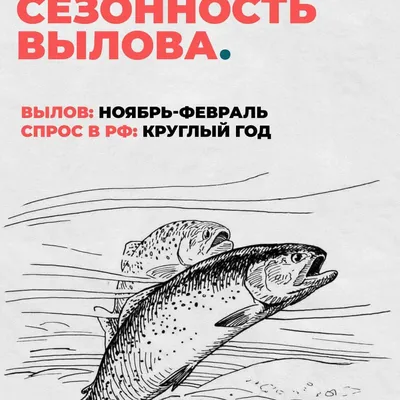 Светофор не зря зашла🚦Лосось Кахавай дешевле пеляди. Всем нужна посуда,  компьютерный стол, сельдерей, лимоны и апельсины. Новинки для дачи! | Вера  Ларина | Дзен