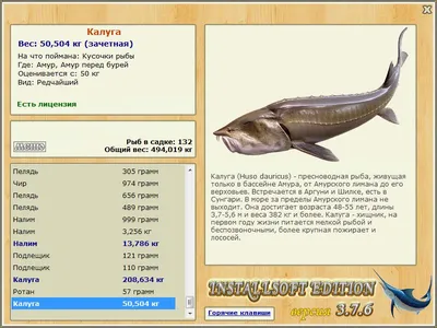 Рекорды рыбалки со всего мира | LoviTut.ru (Рыбалка и Бильярд) | Дзен