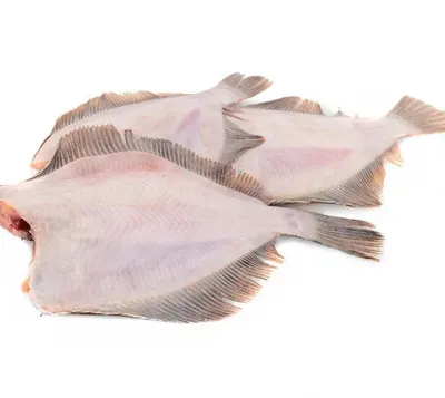 Камбала | морская рыба семейства камбаловых (Pleuronectidae)… | Flickr