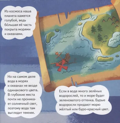 60 мл водный раствор, приманка для рыбной ловли, карап, приманка, гнездо,  материал, приманка, приманка, артефакт для рыбалки, для ловли карпа, Прямая  поставка | AliExpress