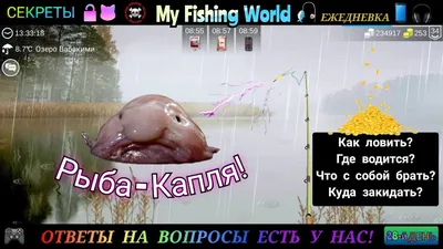 Плюшевая рыба капля розовая (33 см) - купить недорого в интернет-магазине  игрушек Super01