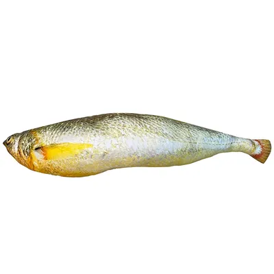 Мягкая игрушка СмолТойс Рыба Д150 | купить, цена, отзывы