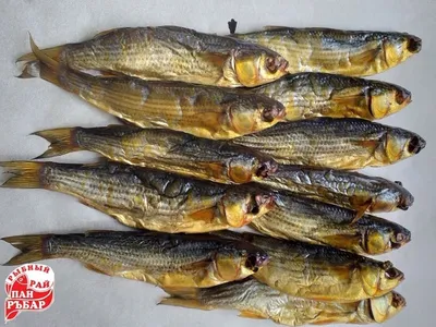 Рыба (Кефаль) с кус-кусом, запечена с овощами в духовке