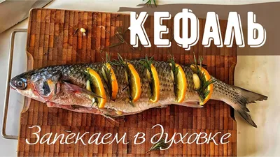 Если вы любитель морепродуктов, вы должны попробовать морскую рыбу Кефаль!  Эта вкусная и питательная рыба является популярным блюдом во… | Instagram