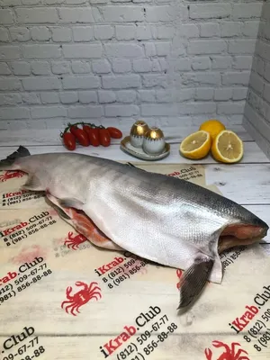 Кета потрошеная без головы - Морепродукты и рыба – купить с доставкой в СПб