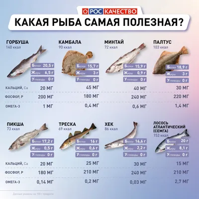 Рыба из ада»: стало понятно, почему хек продают без головы - Solyankanews.ru