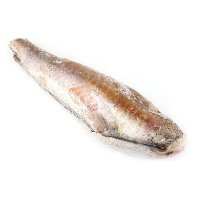 Купить рыбу хек в Минске, цена за 1 кг, свежемороженый