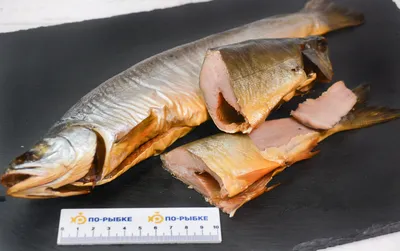 Чир холодного копчения от 3500₽ за кг | Азбука Севера – сеть магазинов  дикой рыбы