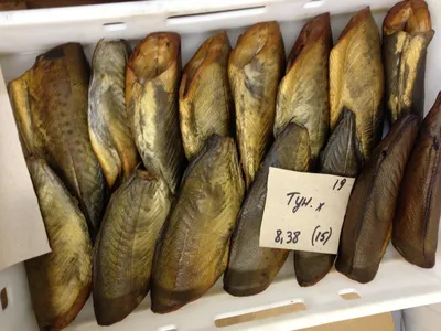 Рыба холодного копчения Доставка рыбы на дом! – Магазин «Рыбный»