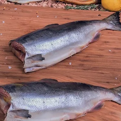 Чем полезна рыба семейства тихоокеанских лососей| от Роскачества