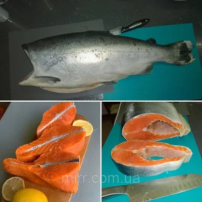 Кижуч, Чили – Рыба и морепродукты в Калининграде и области