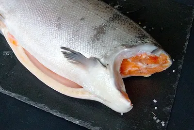 Кижуч свежемороженый потрошеный штучной заморозки (2-4 кг) - купить лосося  по выгодной цене за килограмм в интернет-магазине seafood-shop.ru