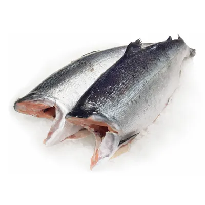 Купить Кижуч Тихоокеанский С/М ПБГ По Доступной Цене | Рыба