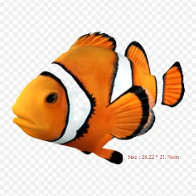 Набор пластилина Lipaka 30058-UA01 Океан: рыба-клоун (4897105242017) купить  в Украине | Территория минимальных цен
