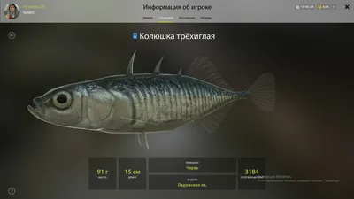 В Днепропетровской области рыбак поймал редкую маленькую, но агрессивную  рыбку | Дніпровська панорама