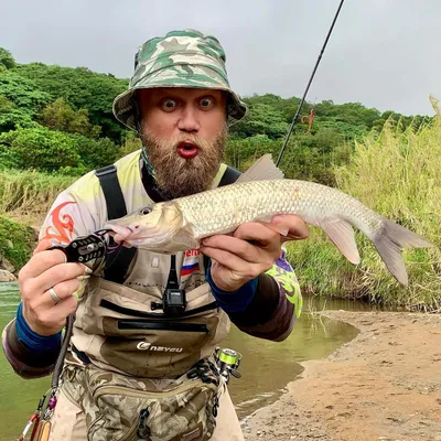 Хорошего размера конь-губарь влетел на джиг! Good sized Amur Barbel on  swing jig landed! #fishing #рыбалка #釣魚 #pesca #amurbarbel #коньгубарь  #mefik — from Instagram - mefik TV