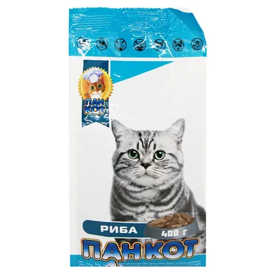 Кот-рыболов | Кот, Рыба