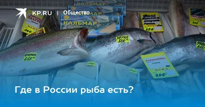 Редкое стадо жилой кунджи обнаружили на реке Андреевка острова Кунашир -  SakhalinMedia.ru