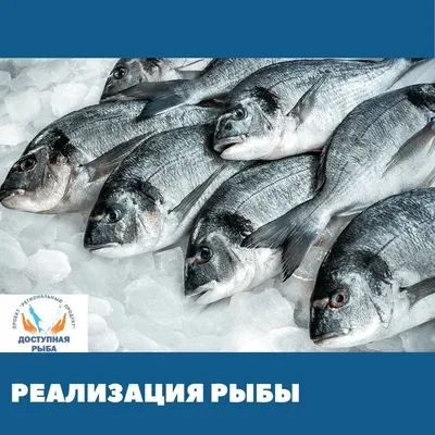 Рыбак на Сахалине поймал редкого для этих мест красного кижуча - KP.RU