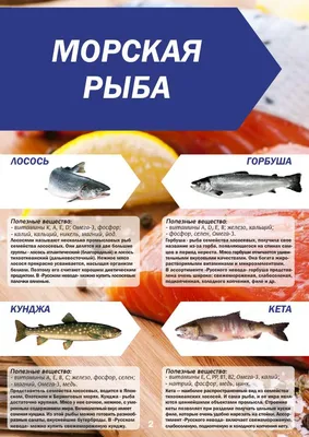 На Сахалине очень красивая рыба! Кунджа во всей своей красе. #miari  #сделановроссии🇷🇺 #рыбалкасахалин | Instagram
