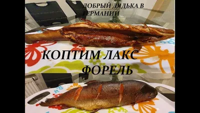 Черноморский лосось ❓: iglokott — LiveJournal - Page 2